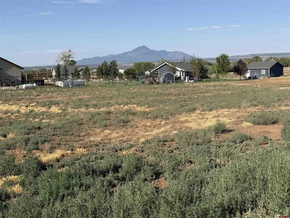 Road 24.8 Dolores, CO 81323