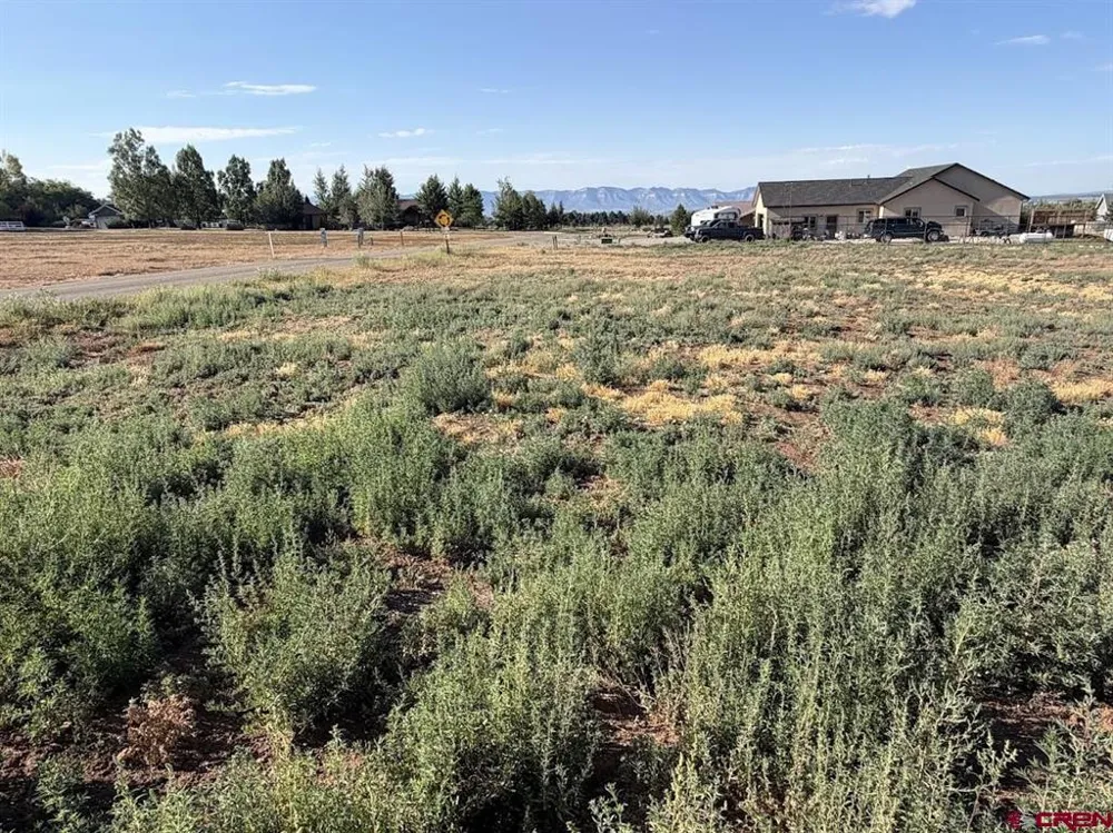 Road 24.8 Dolores, CO 81323