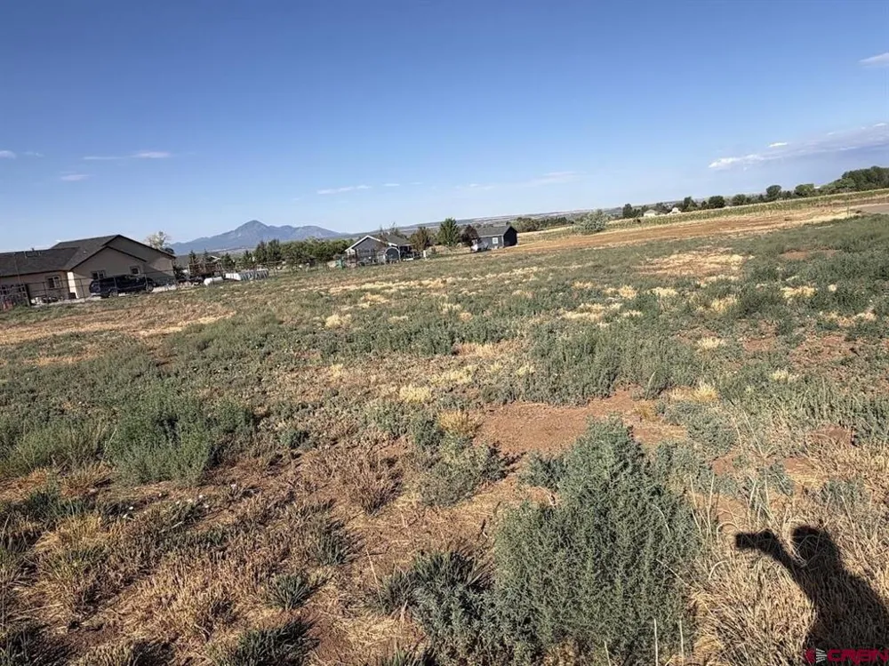 Road 24.8 Dolores, CO 81323