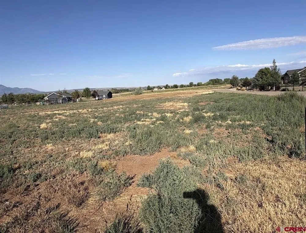 Road 24.8 Dolores, CO 81323