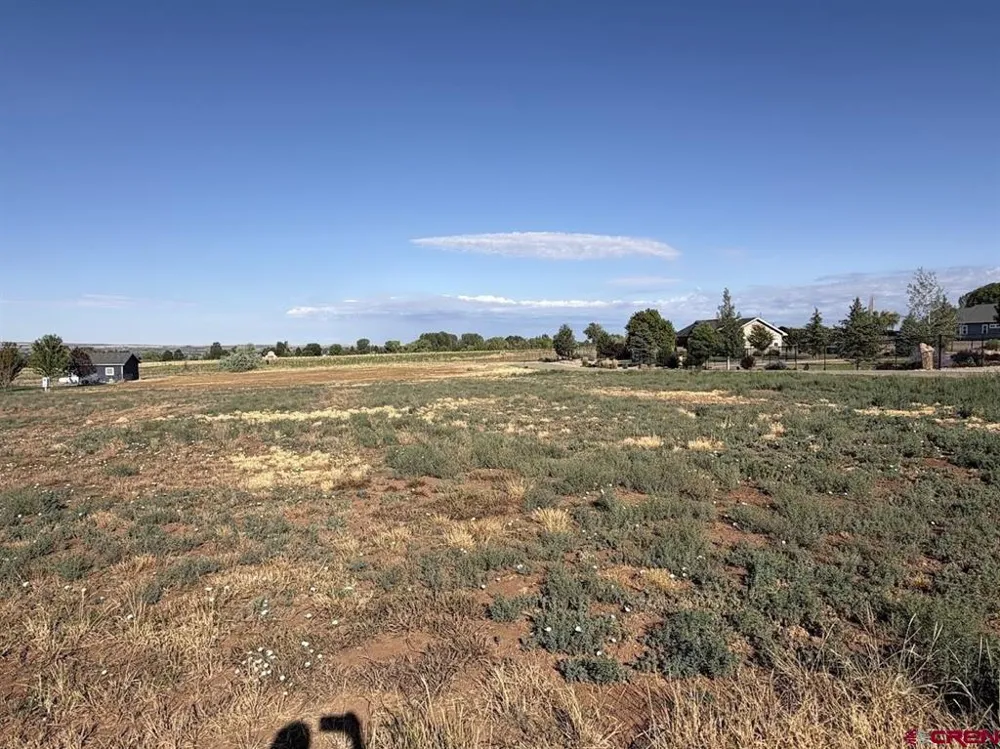 Road 24.8 Dolores, CO 81323