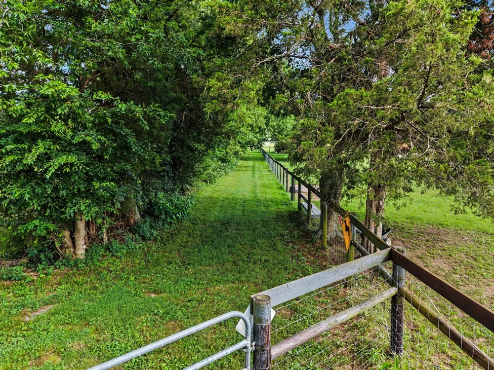 105 Blue Ribbon Trl Christiana, TN 37037
