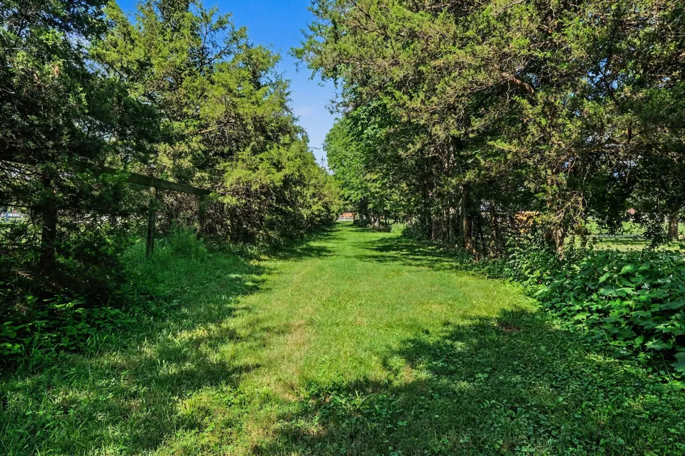 105 Blue Ribbon Trl Christiana, TN 37037