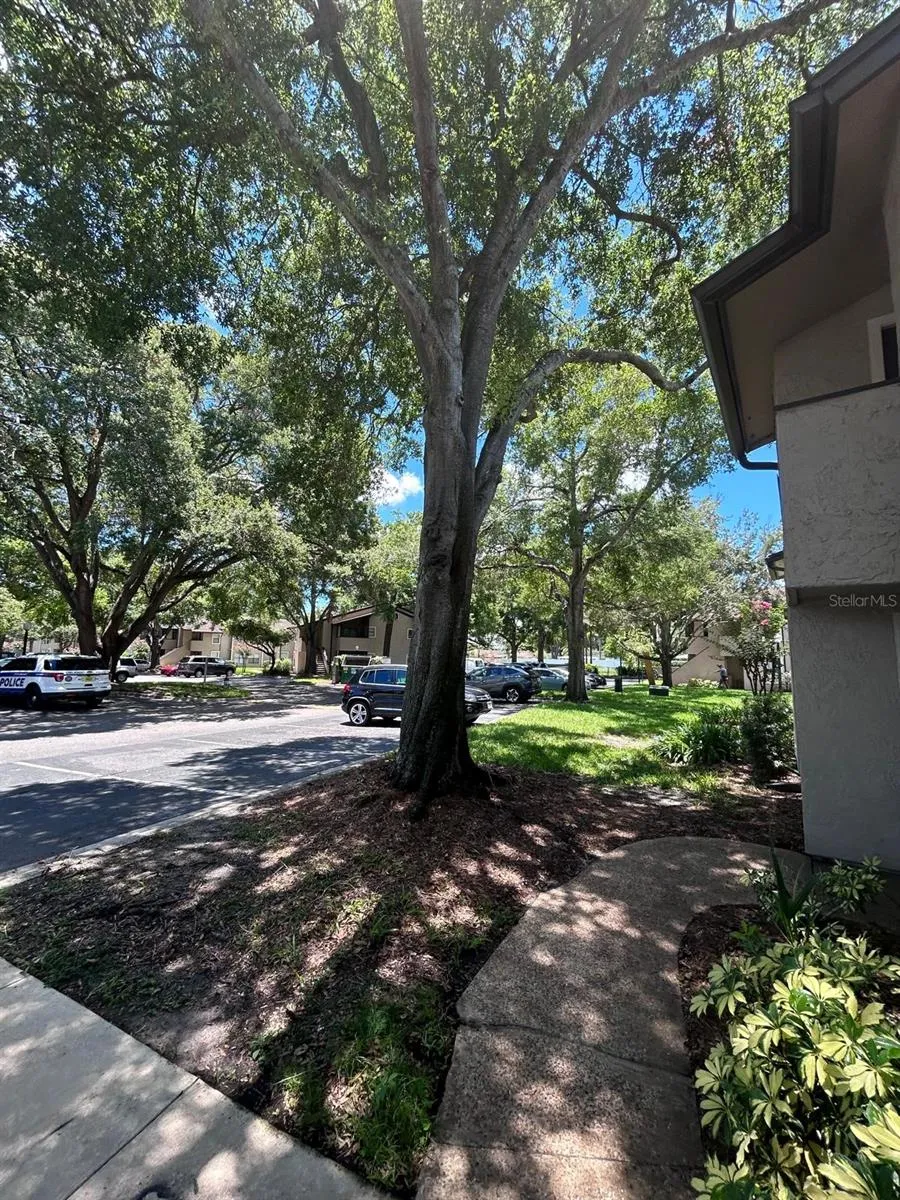 2948 ANTIQUE OAKS CIRCLE #94 Winter Park, FL 32792