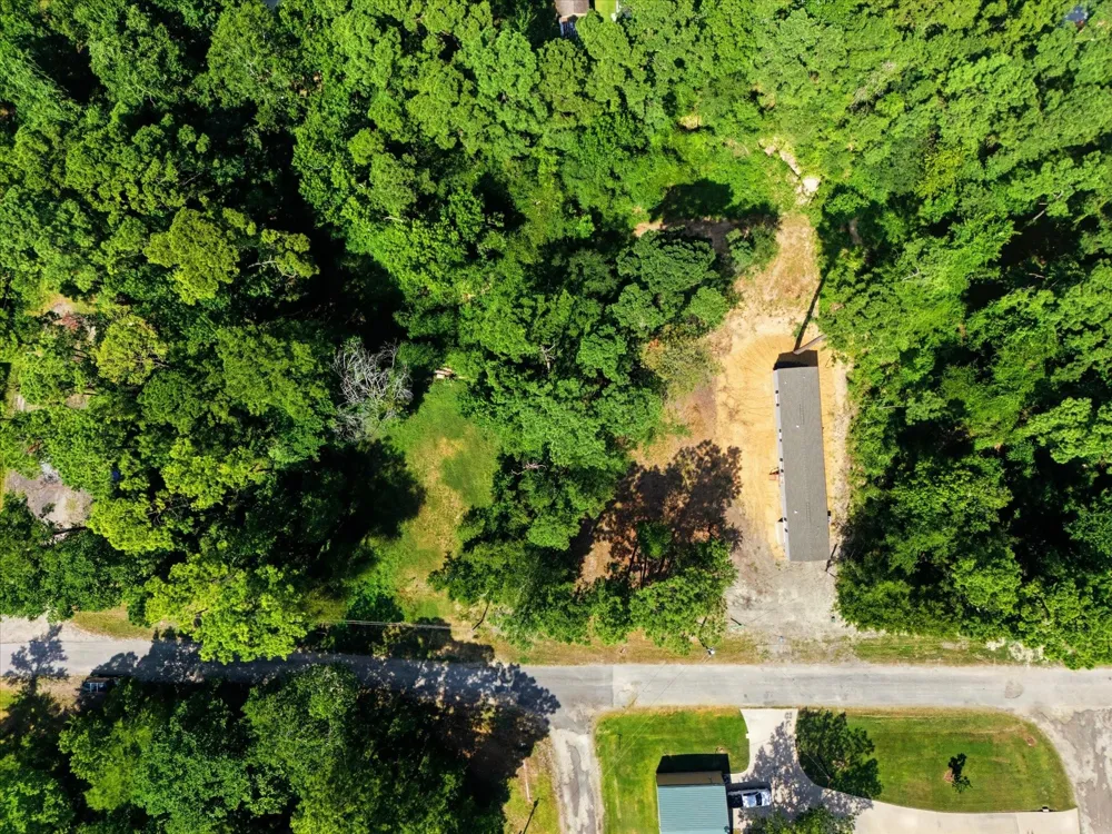 Moose Drive Onalaska, TX 77360