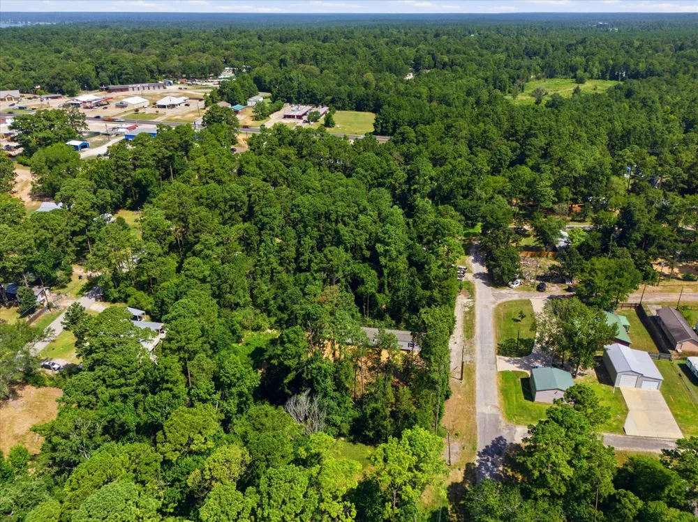 Moose Drive Onalaska, TX 77360