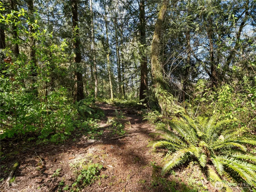 41298 214th Avenue SE Enumclaw, WA 98022