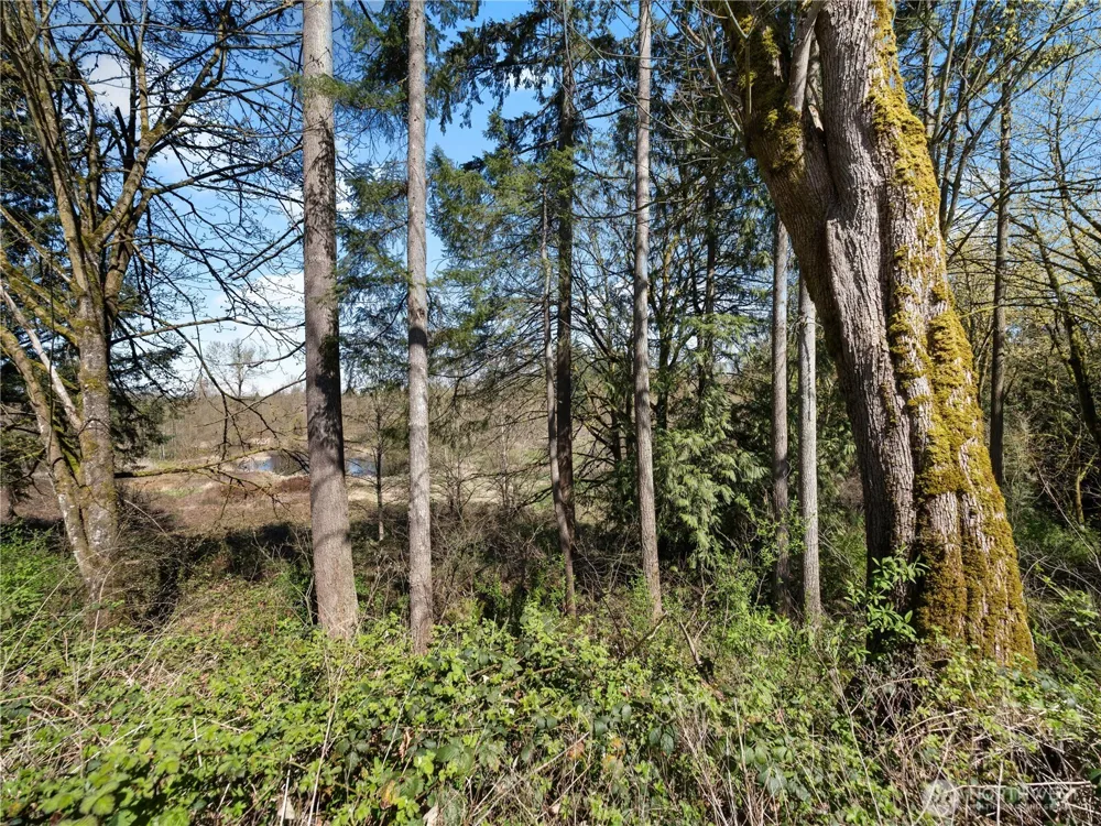 41298 214th Avenue SE Enumclaw, WA 98022