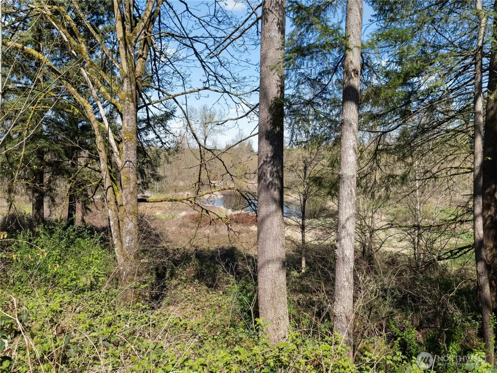 41298 214th Avenue SE Enumclaw, WA 98022