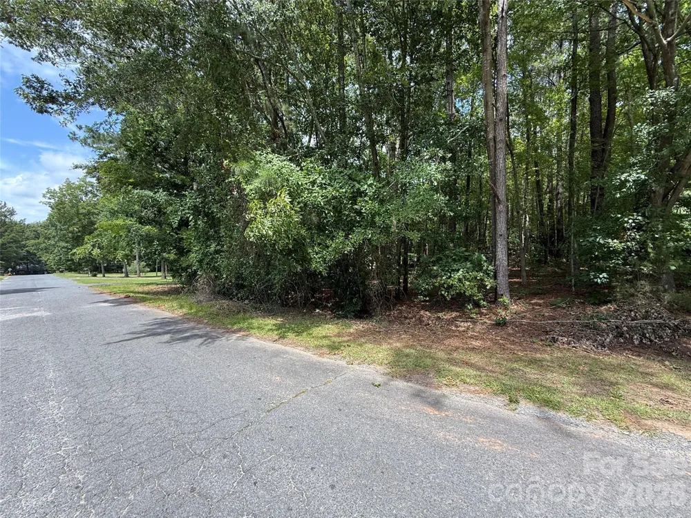 TBD1 Highland Woods Drive Wadesboro, NC 28170