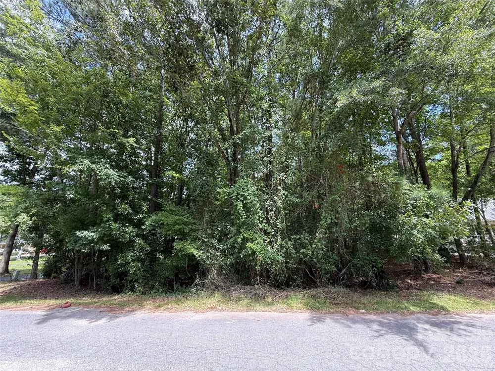 TBD1 Highland Woods Drive Wadesboro, NC 28170