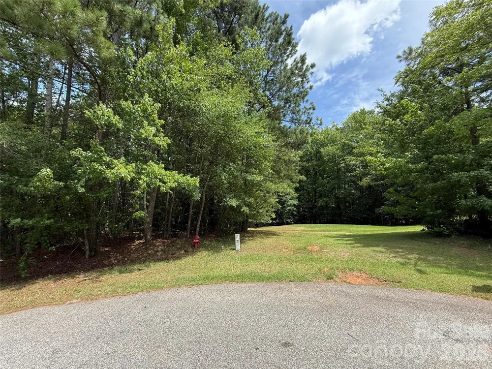TBD Highland Woods Drive Wadesboro, NC 28170