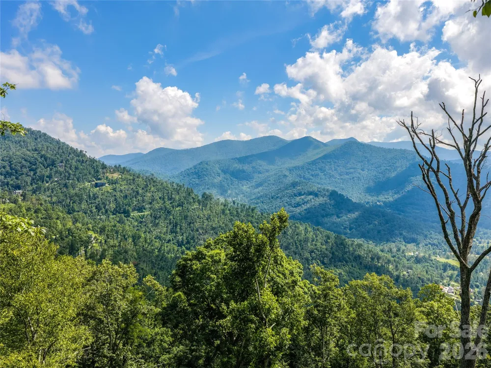 36 Cary Lane Asheville, NC 28804