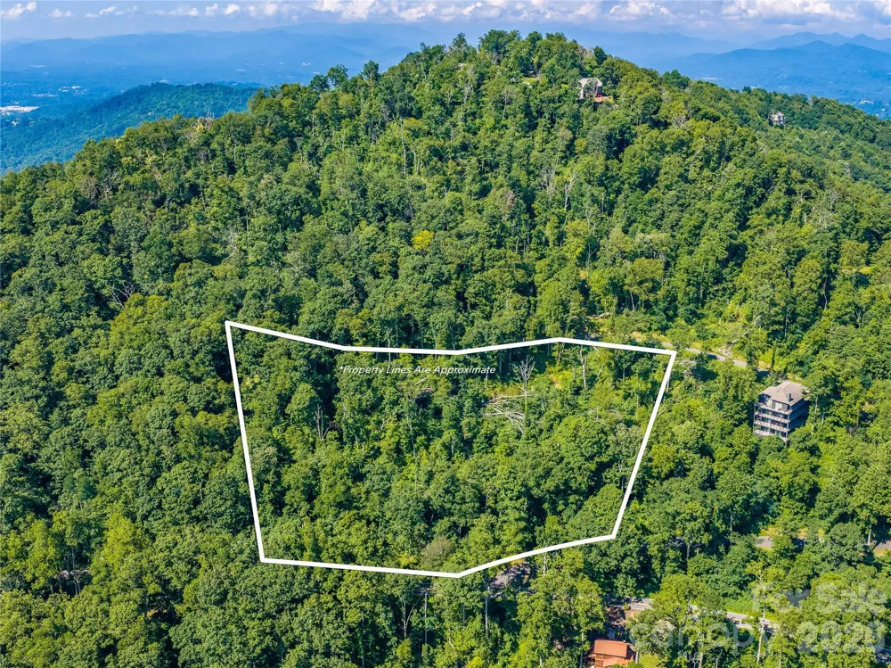 36 Cary Lane Asheville, NC 28804