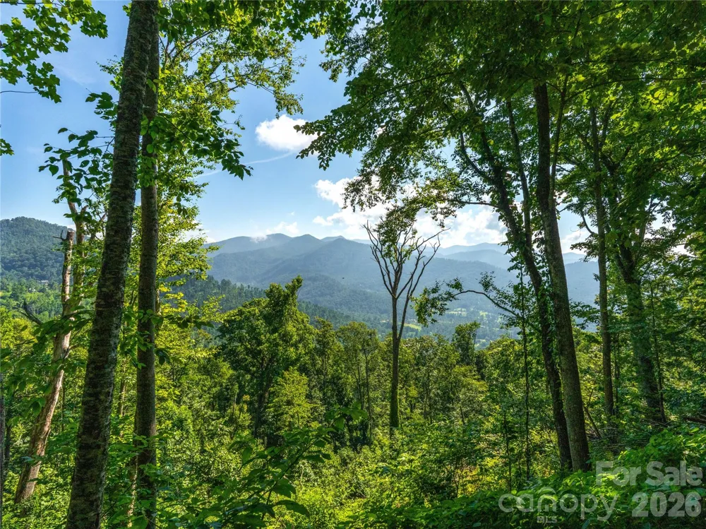 36 Cary Lane Asheville, NC 28804