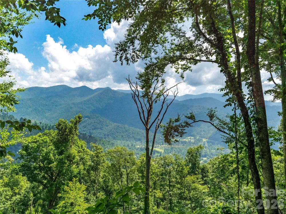 36 Cary Lane Asheville, NC 28804
