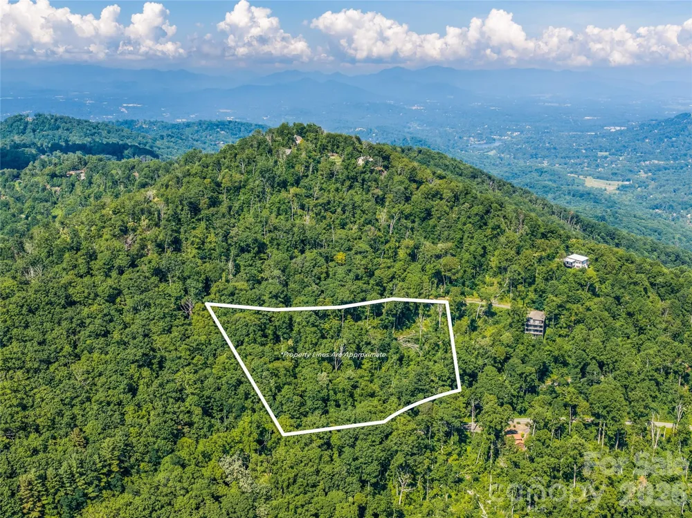 36 Cary Lane Asheville, NC 28804