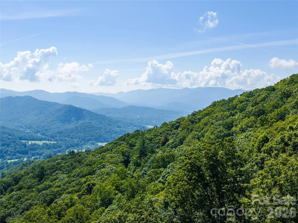 36 Cary Lane Asheville, NC 28804