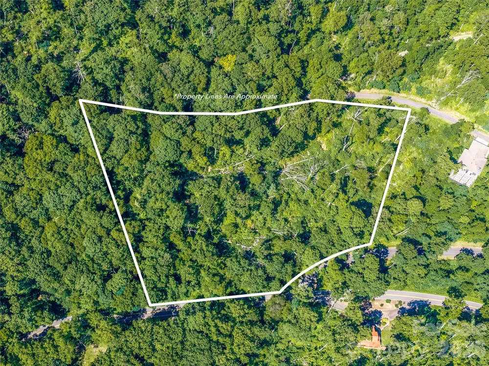 36 Cary Lane Asheville, NC 28804