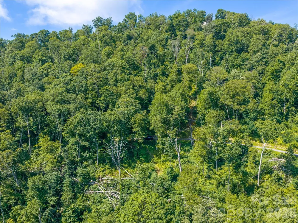 36 Cary Lane Asheville, NC 28804
