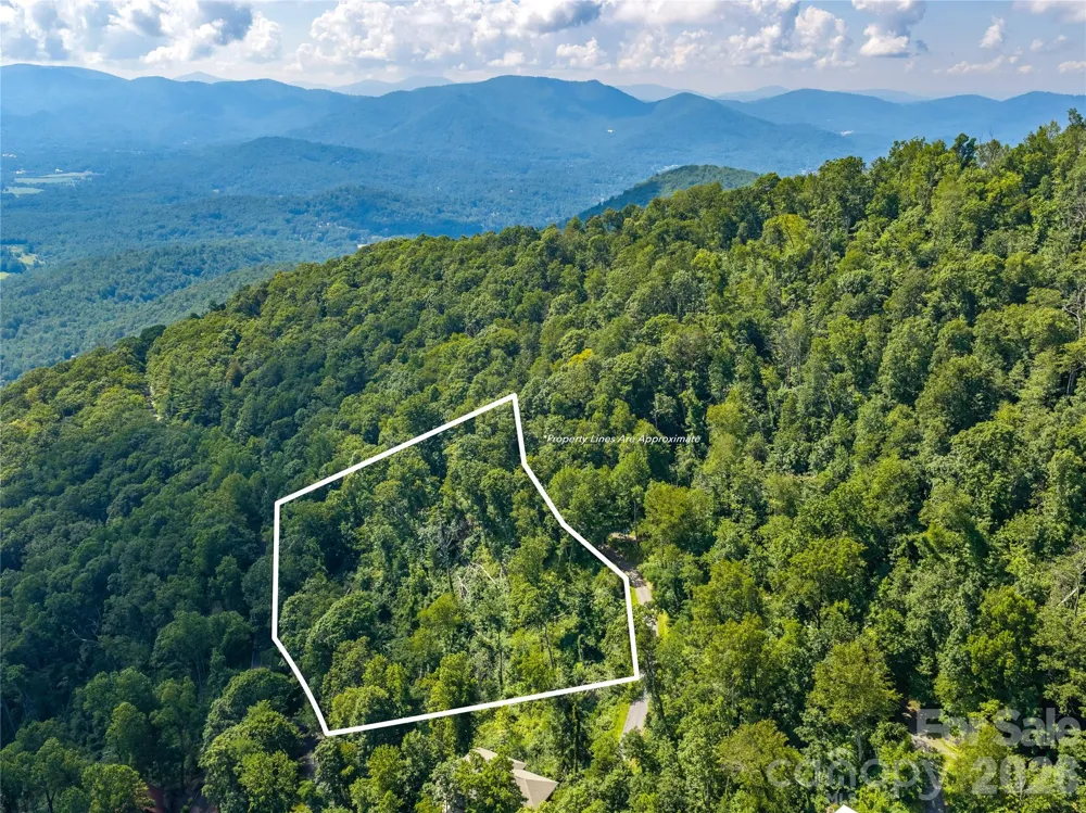 36 Cary Lane Asheville, NC 28804