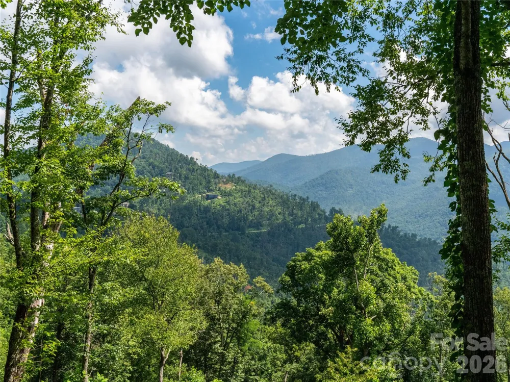 36 Cary Lane Asheville, NC 28804