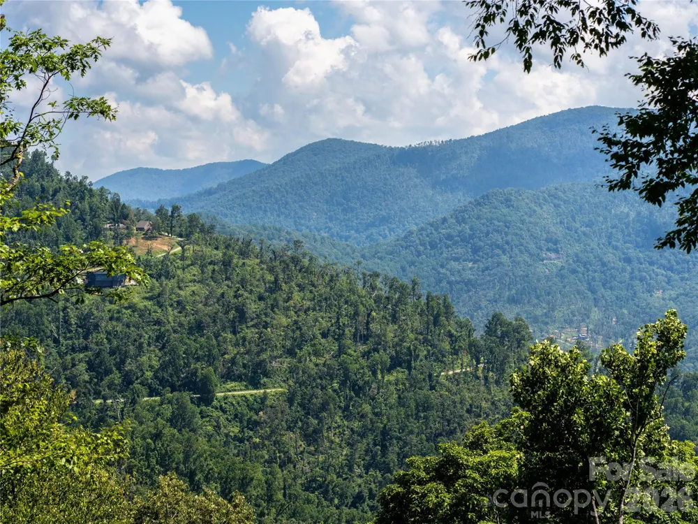 36 Cary Lane Asheville, NC 28804