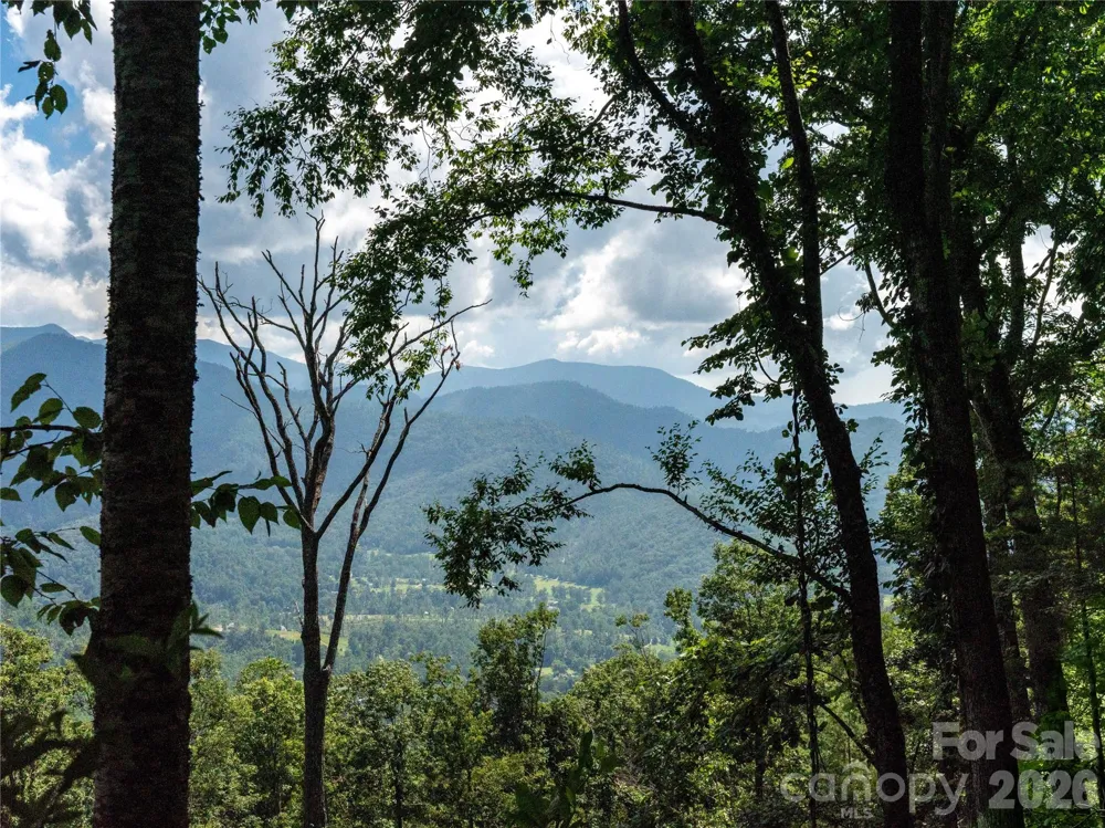 36 Cary Lane Asheville, NC 28804
