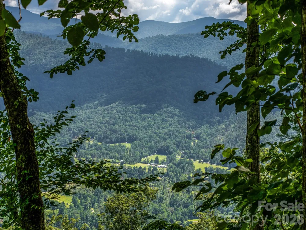 36 Cary Lane Asheville, NC 28804