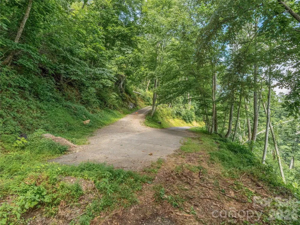 36 Cary Lane Asheville, NC 28804