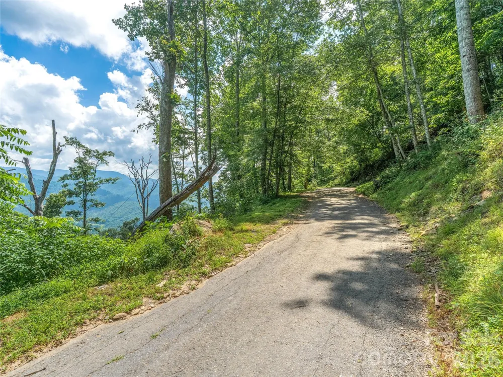 36 Cary Lane Asheville, NC 28804