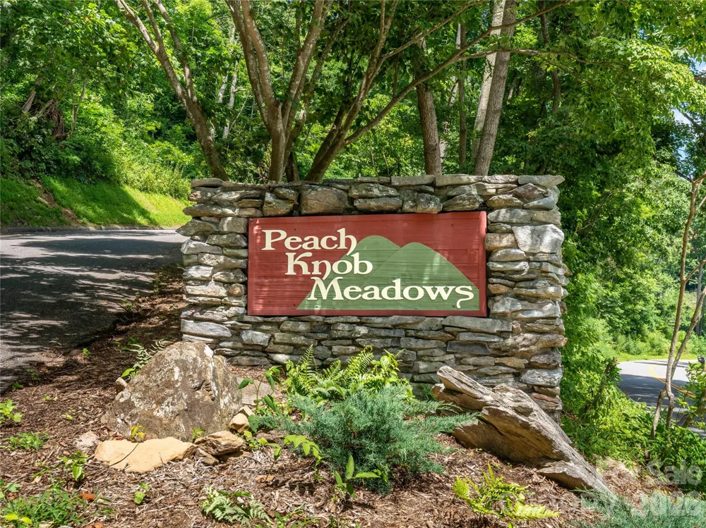 36 Cary Lane Asheville, NC 28804