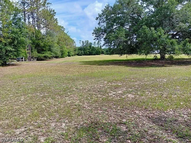 SE 156th Place Road Weirsdale, FL 32195
