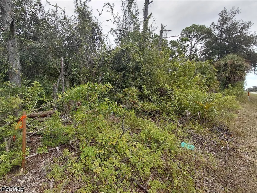 Avenida Del Sur Clewiston, FL 33440