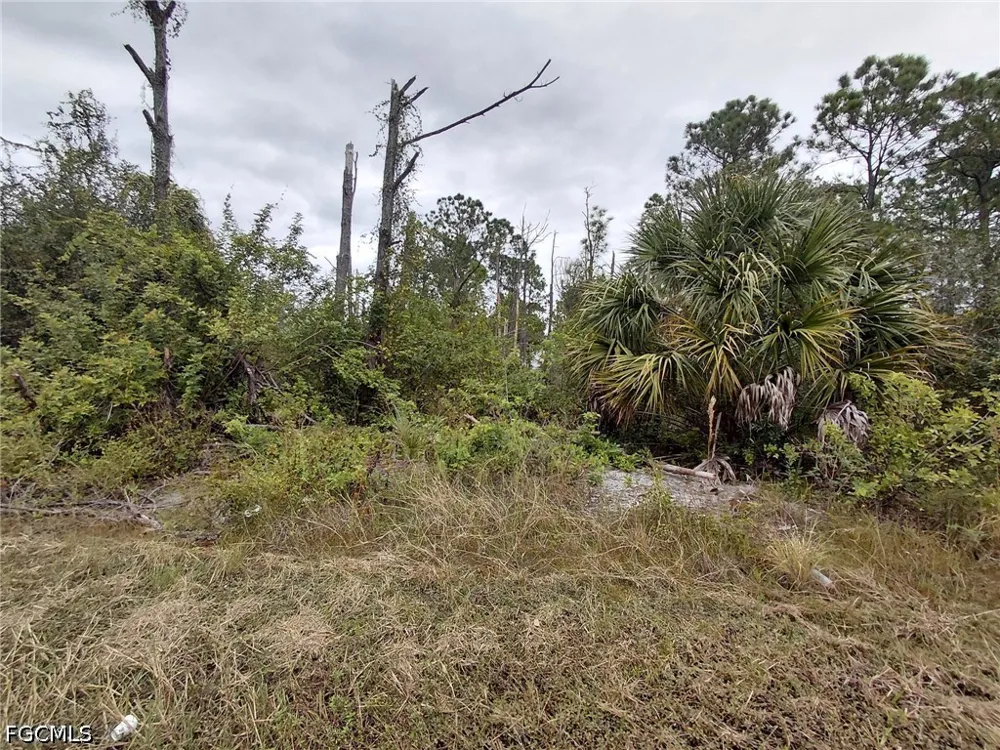 Avenida Del Sur Clewiston, FL 33440