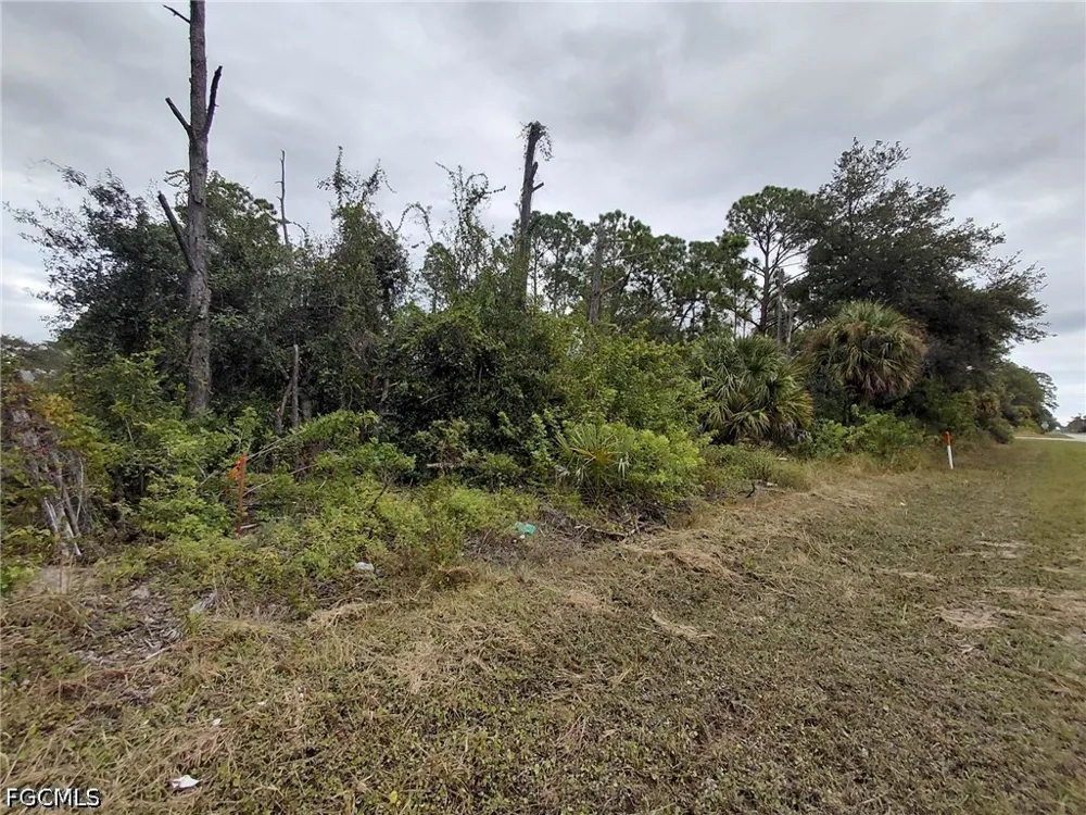 Avenida Del Sur Clewiston, FL 33440