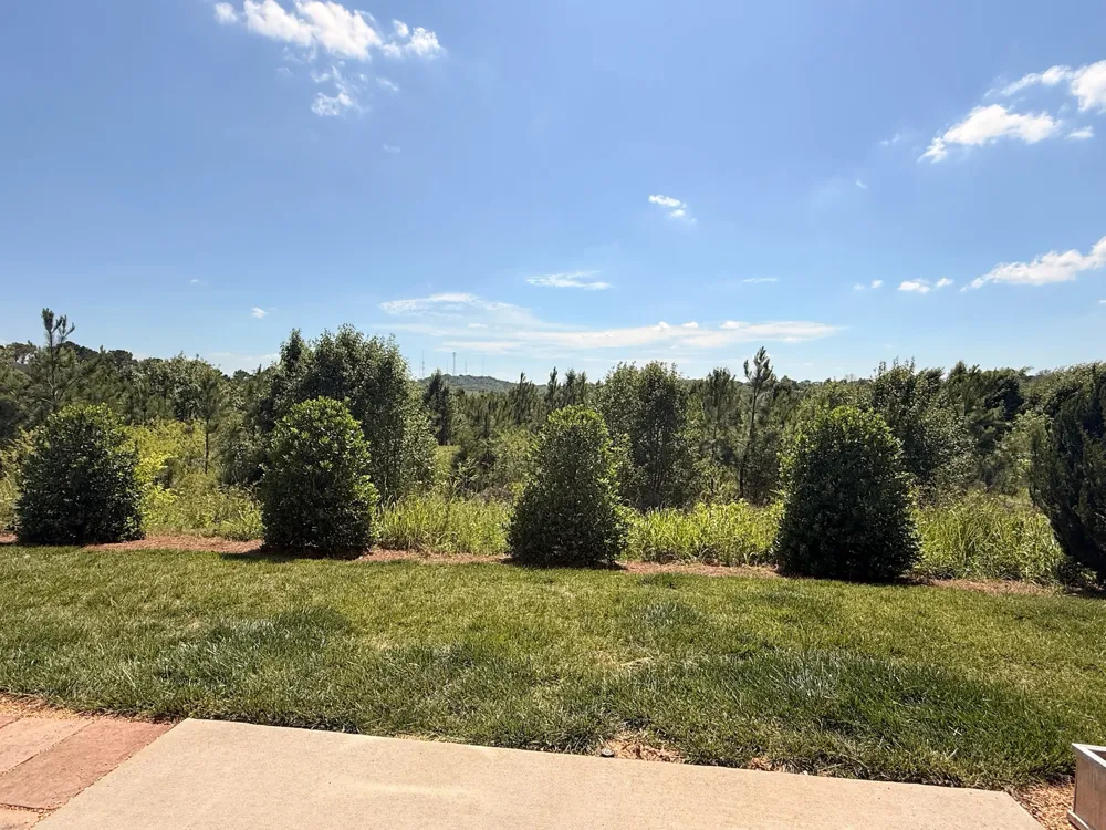 361 Coleman Ct Columbia, TN 38401