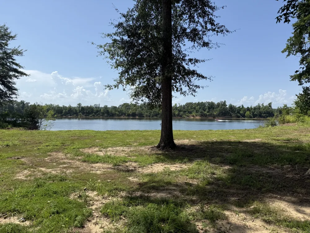 15 Caden Cv Savannah, TN 38372
