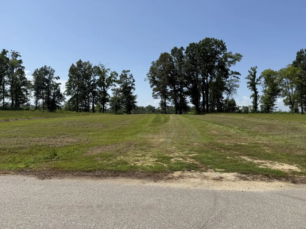 15 Caden Cv Savannah, TN 38372