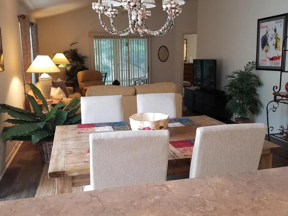 1255 VIRGINIA DRIVE The Villages, FL 32162