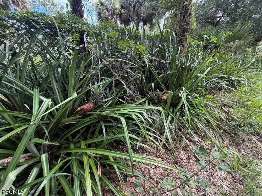S Mayoral Street Clewiston, FL 33440