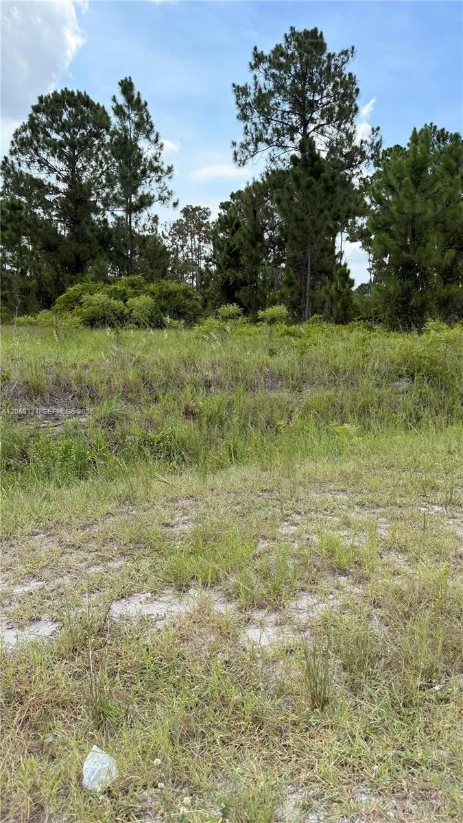 215 Kennel St Clewiston, FL 33440