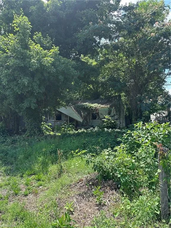 499 Leonard Road Lexington, NC 27295