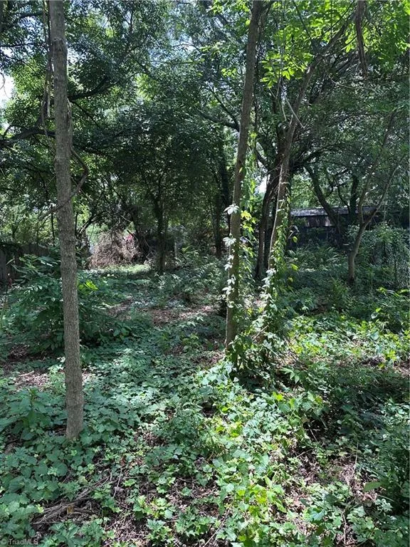 499 Leonard Road Lexington, NC 27295