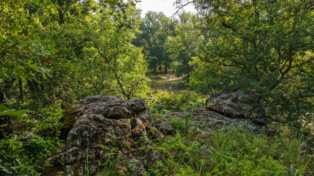 3064 Puddin Valley Road Bowie, TX 76230