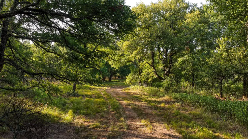 3064 Puddin Valley Road Bowie, TX 76230