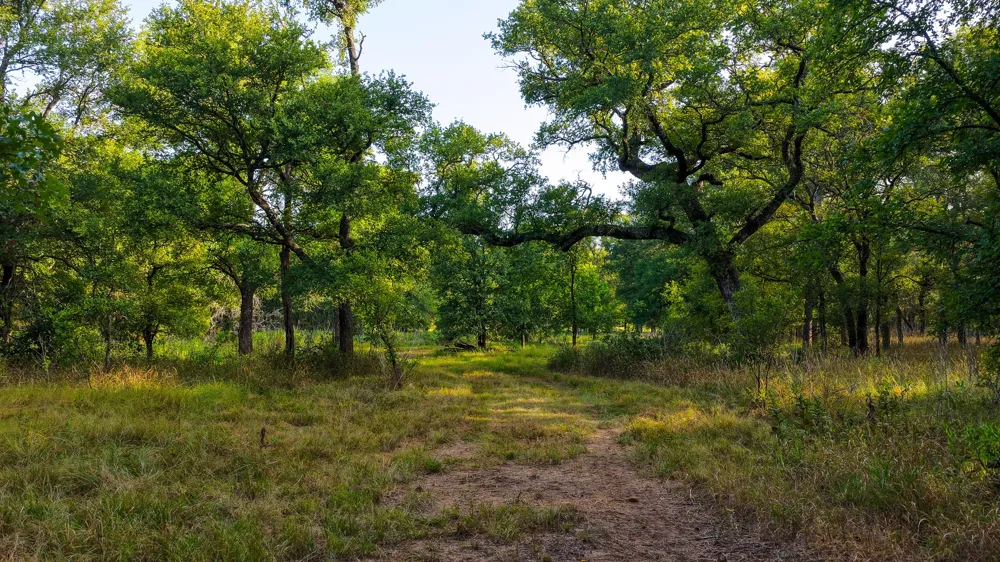 3064 Puddin Valley Road Bowie, TX 76230