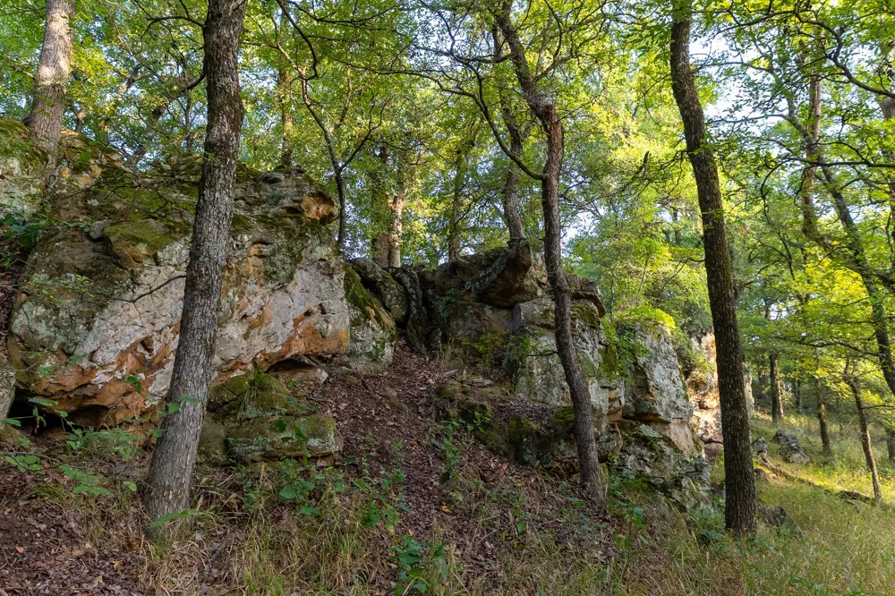 3064 Puddin Valley Road Bowie, TX 76230
