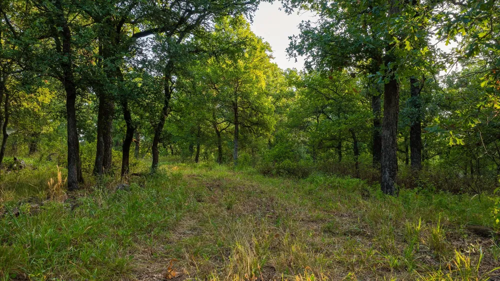 3064 Puddin Valley Road Bowie, TX 76230