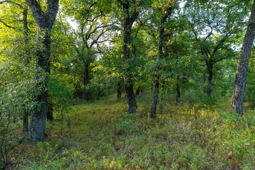 3064 Puddin Valley Road Bowie, TX 76230